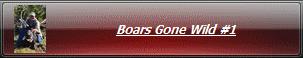 Boars Gone Wild #1